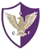 芬斯